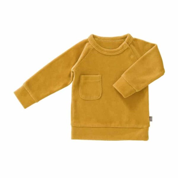 Fresk sweater velours Mimosa