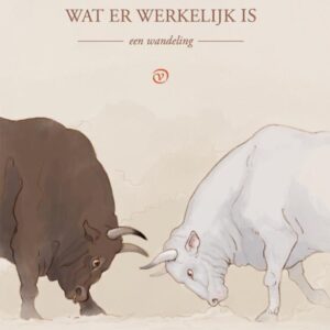 Product afbeelding