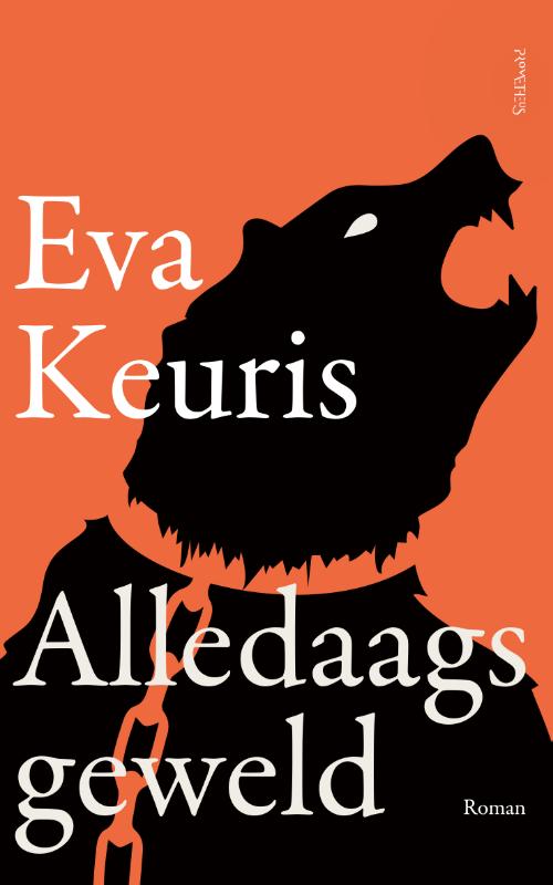 Alledaags geweld (Paperback)