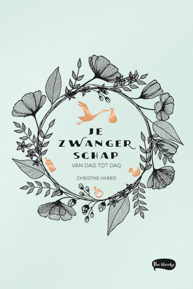 Je zwangerschap van dag tot dag (Paperback)