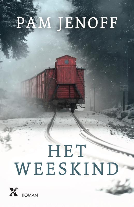 Het weeskind (Paperback)