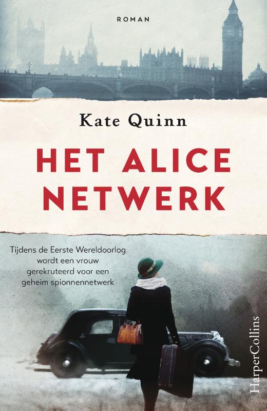 Het Alice-netwerk (Paperback)