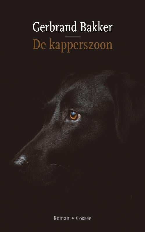 De kapperszoon (Paperback)